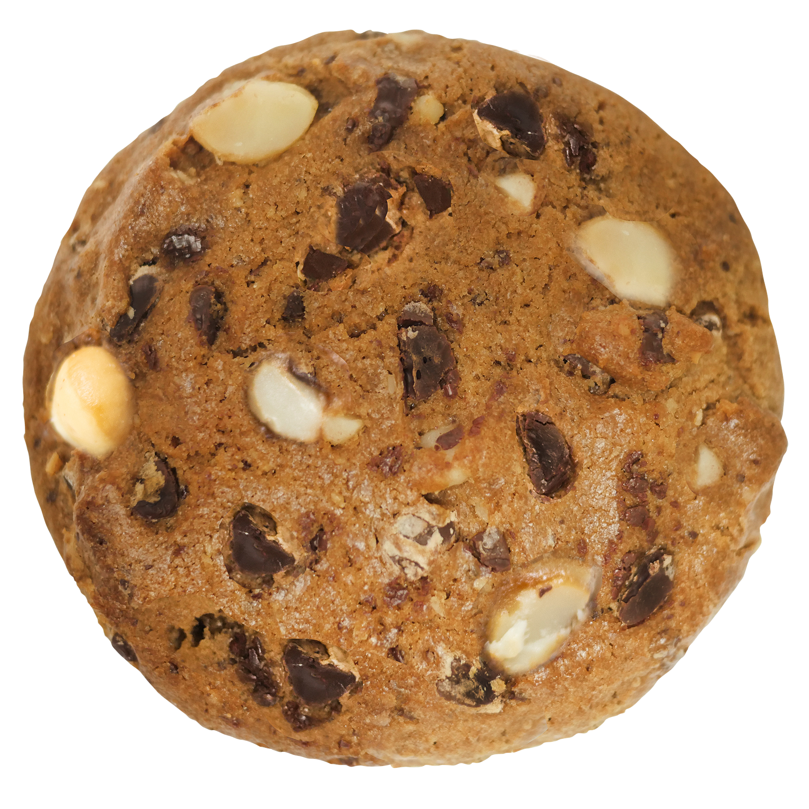 Chocolate Macadamia Nut