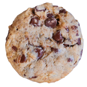 Dark Chocolate Oatmeal Cookie from the Famous 4th Street Cookie Company